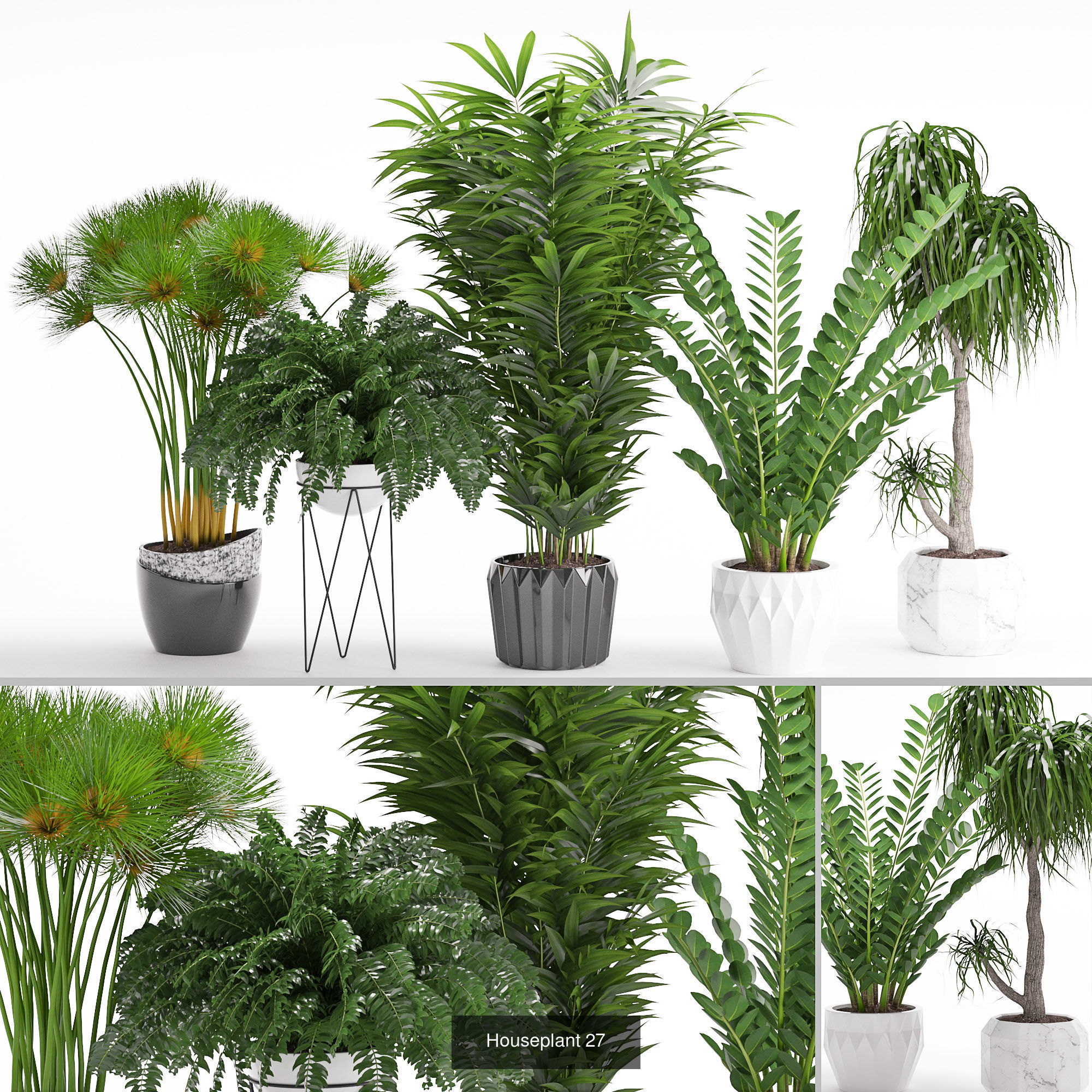 Plants collection 08 _2