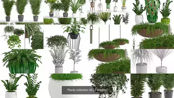 Plants collection 08 
