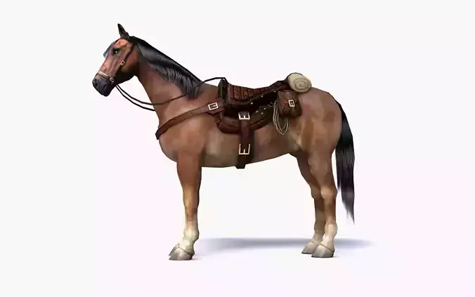 Brown horse with saddle and packs