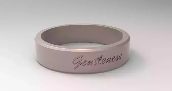 Gentleness Ring Sand Storm 3D print model