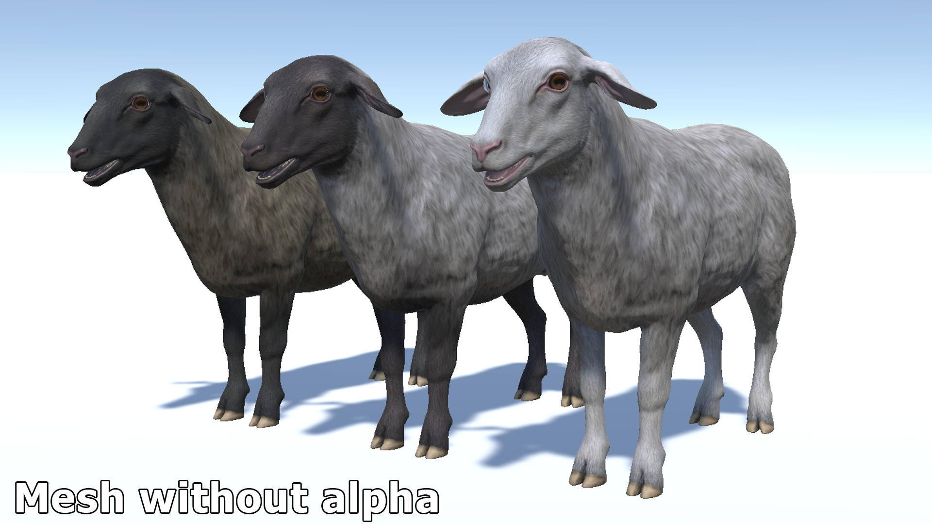 SHEEP FAMILY Low-poly 3D model_32