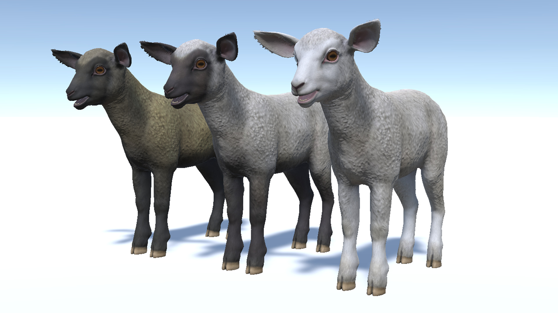 SHEEP FAMILY Low-poly 3D model_24
