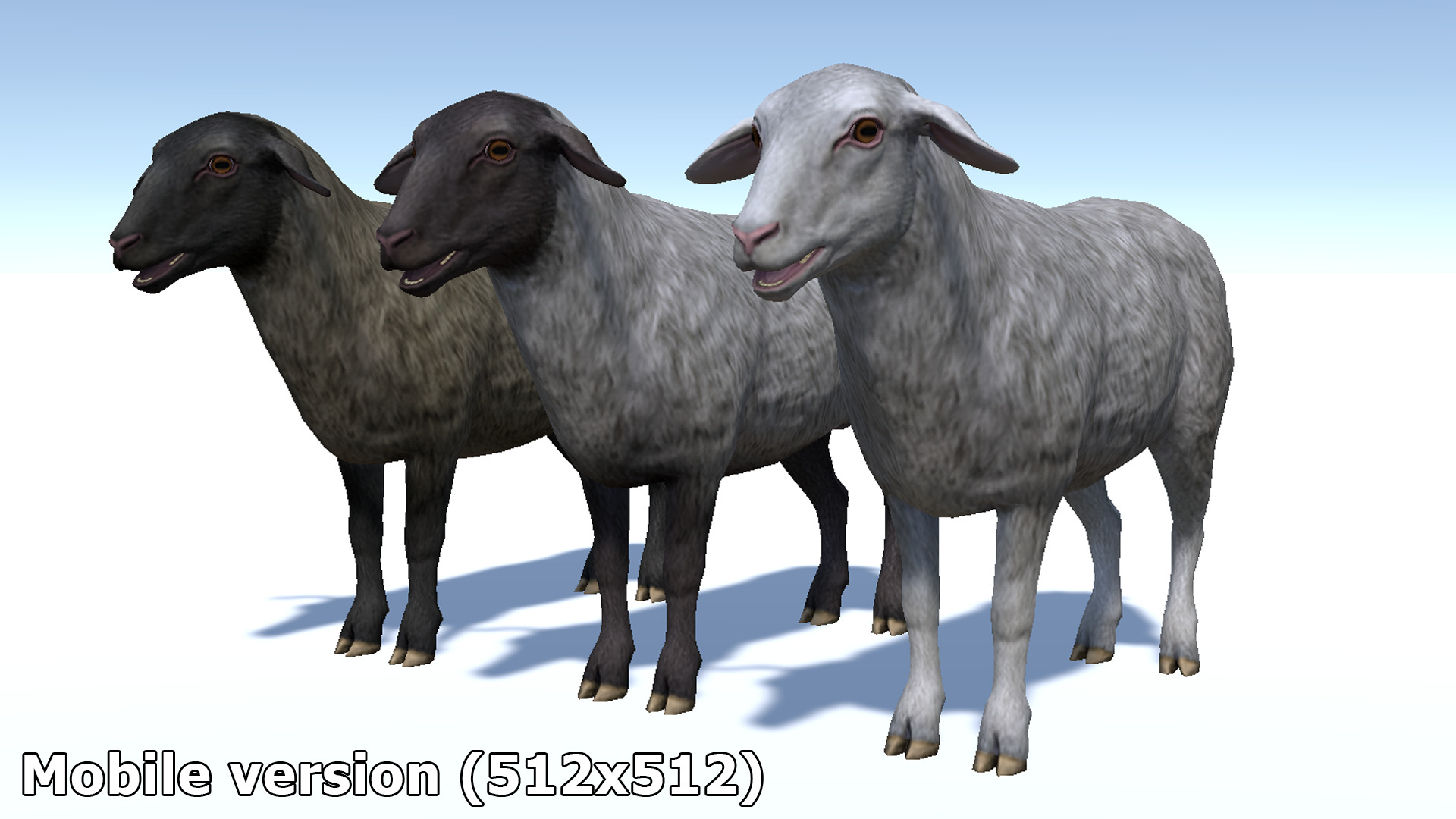 SHEEP FAMILY Low-poly 3D model_35
