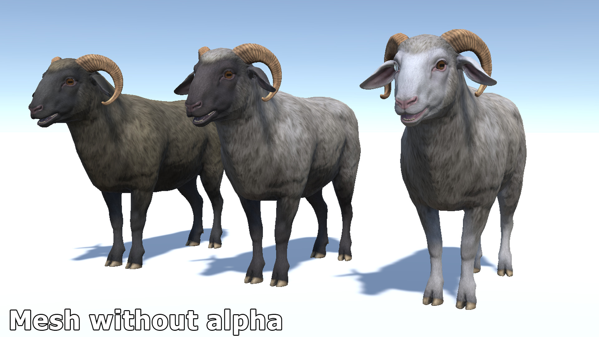 SHEEP FAMILY Low-poly 3D model_31