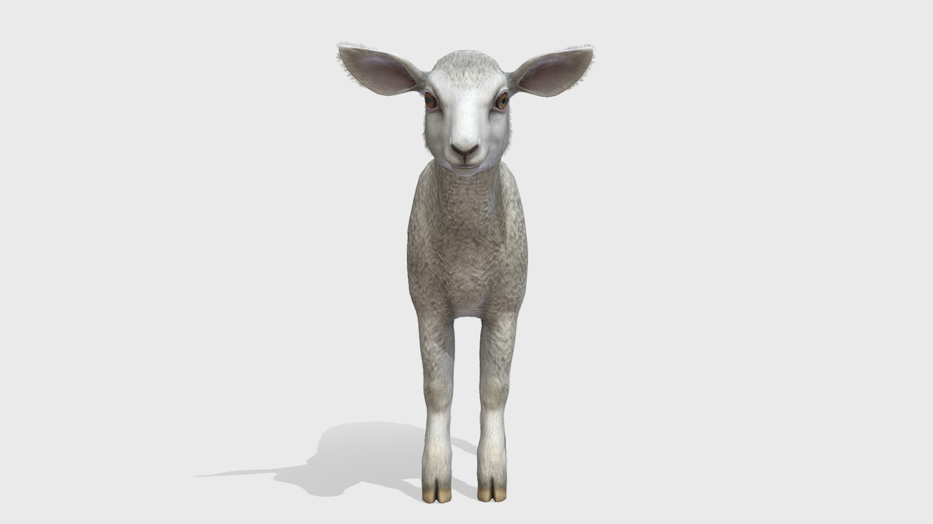 SHEEP FAMILY Low-poly 3D model_12