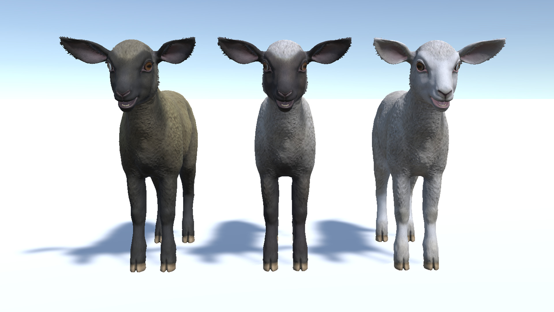SHEEP FAMILY Low-poly 3D model_27