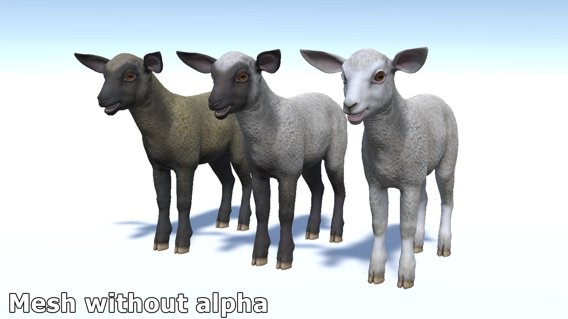 SHEEP FAMILY Low-poly 3D model_33