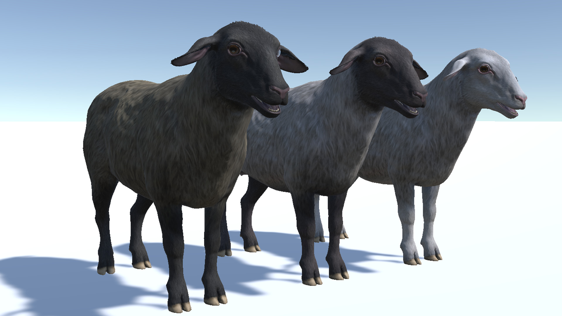 SHEEP FAMILY Low-poly 3D model_29