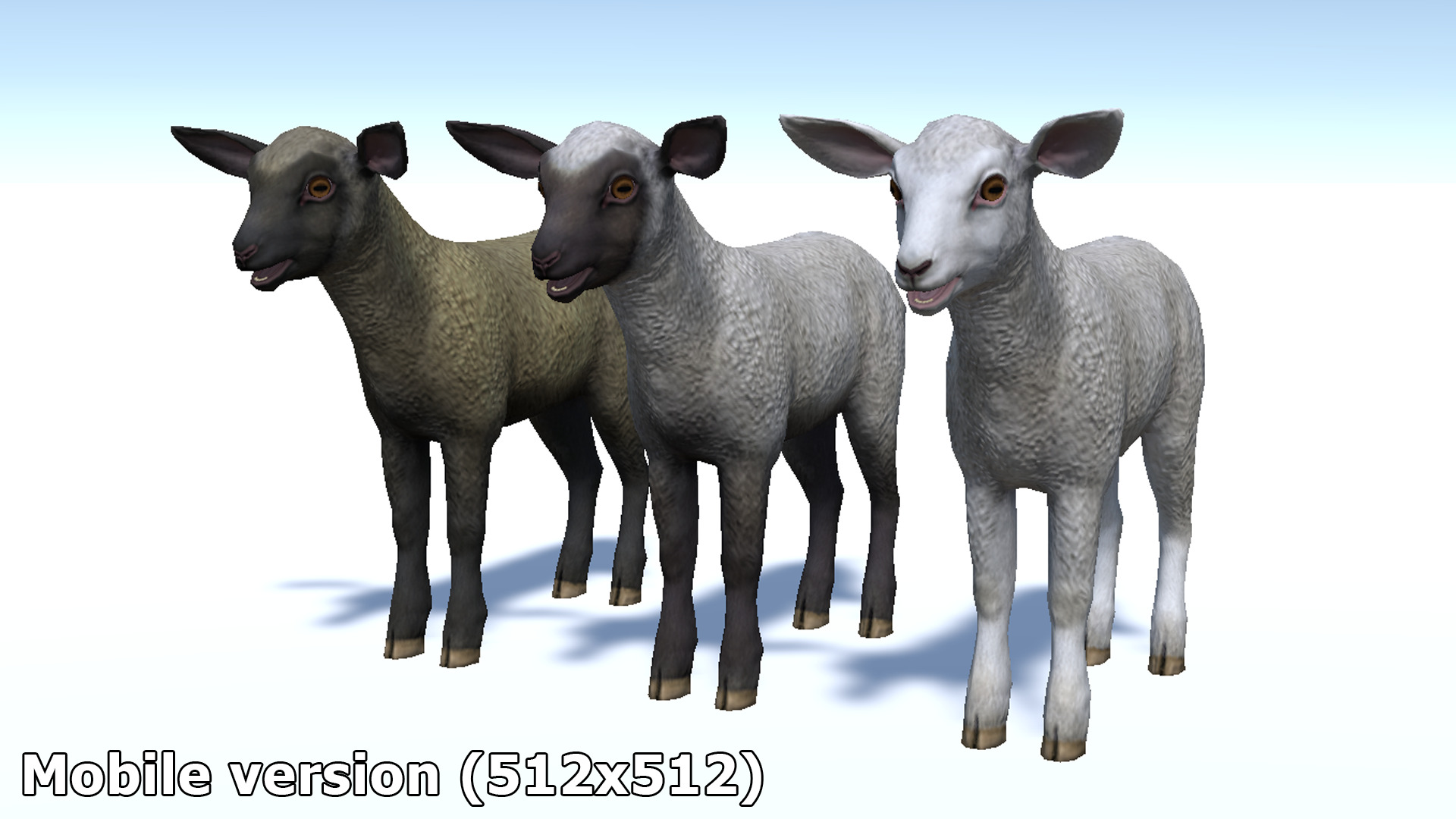 SHEEP FAMILY Low-poly 3D model_36