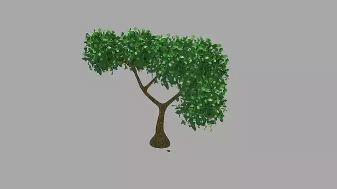 High Quality Tree
