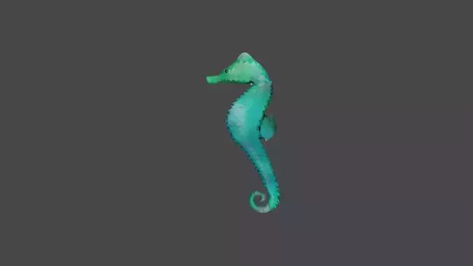 SEA HORSE 