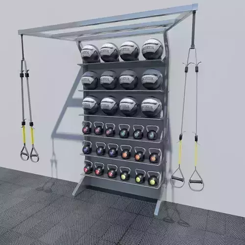 T Rex Medicine Ball Kettle Ball Cabinet 3D model