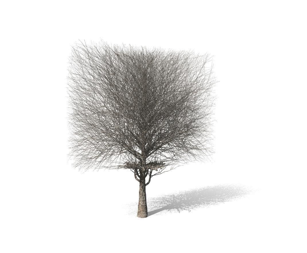 The Square Tree Low-poly 3D model_4