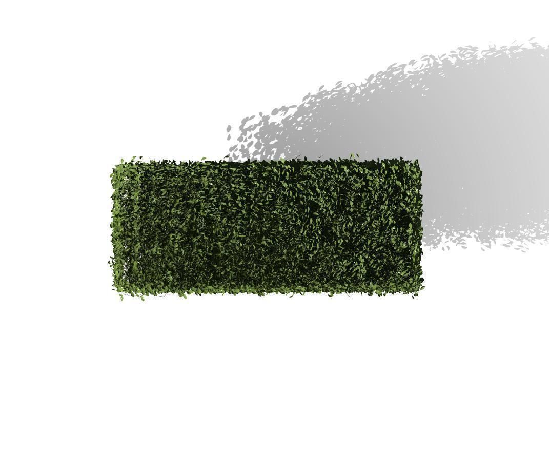 The Square Tree Low-poly 3D model_3