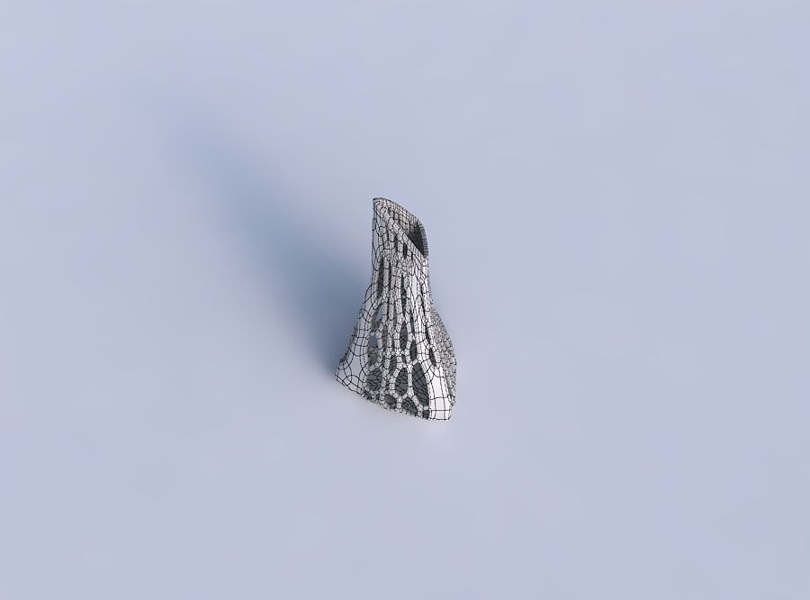 Vase grounded tipping triangle with organic lattice 2 3D print model_6