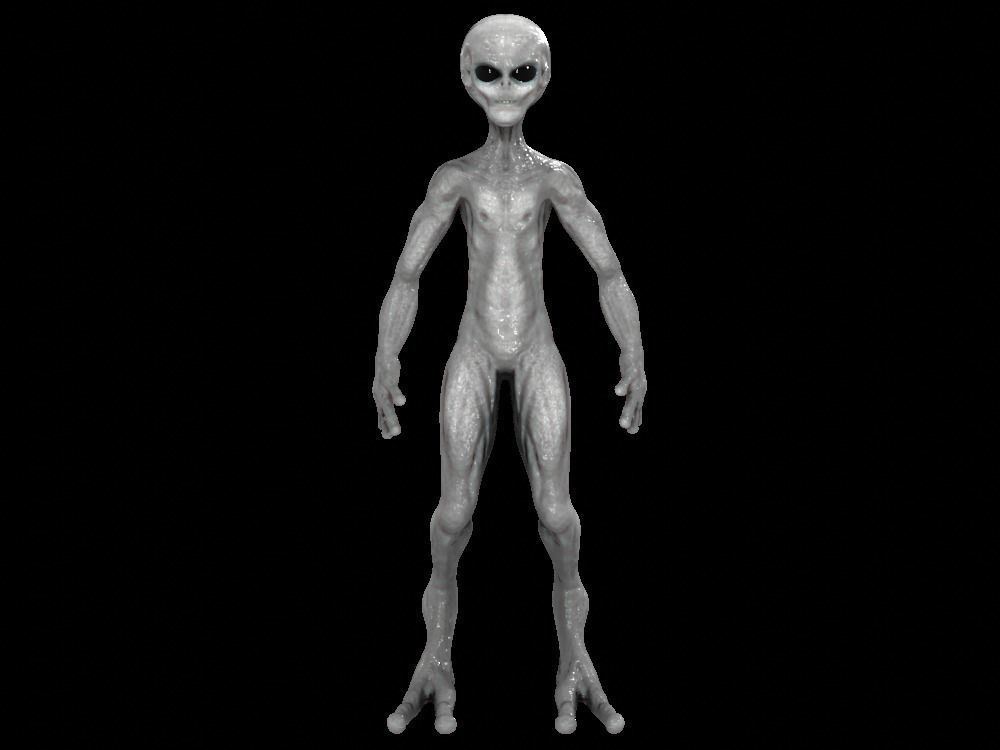 Alien Low-Poly 3D model animated Blender Low-poly 3D model_13