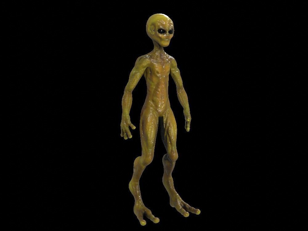 Alien Low-Poly 3D model animated Blender Low-poly 3D model_27