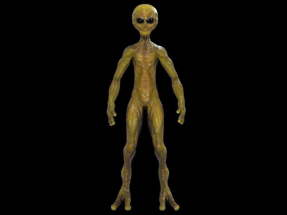 Alien Low-Poly 3D model animated Blender Low-poly 3D model_14
