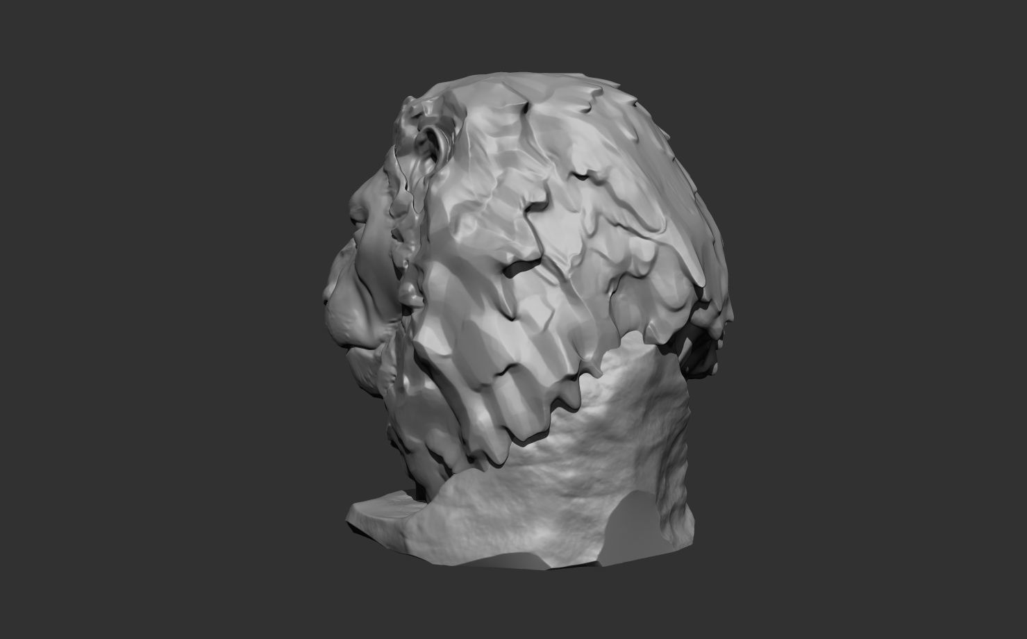 Lion bust 3D print model_8