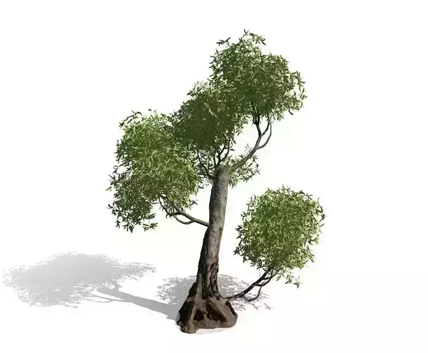 Decorative Out Door Tree