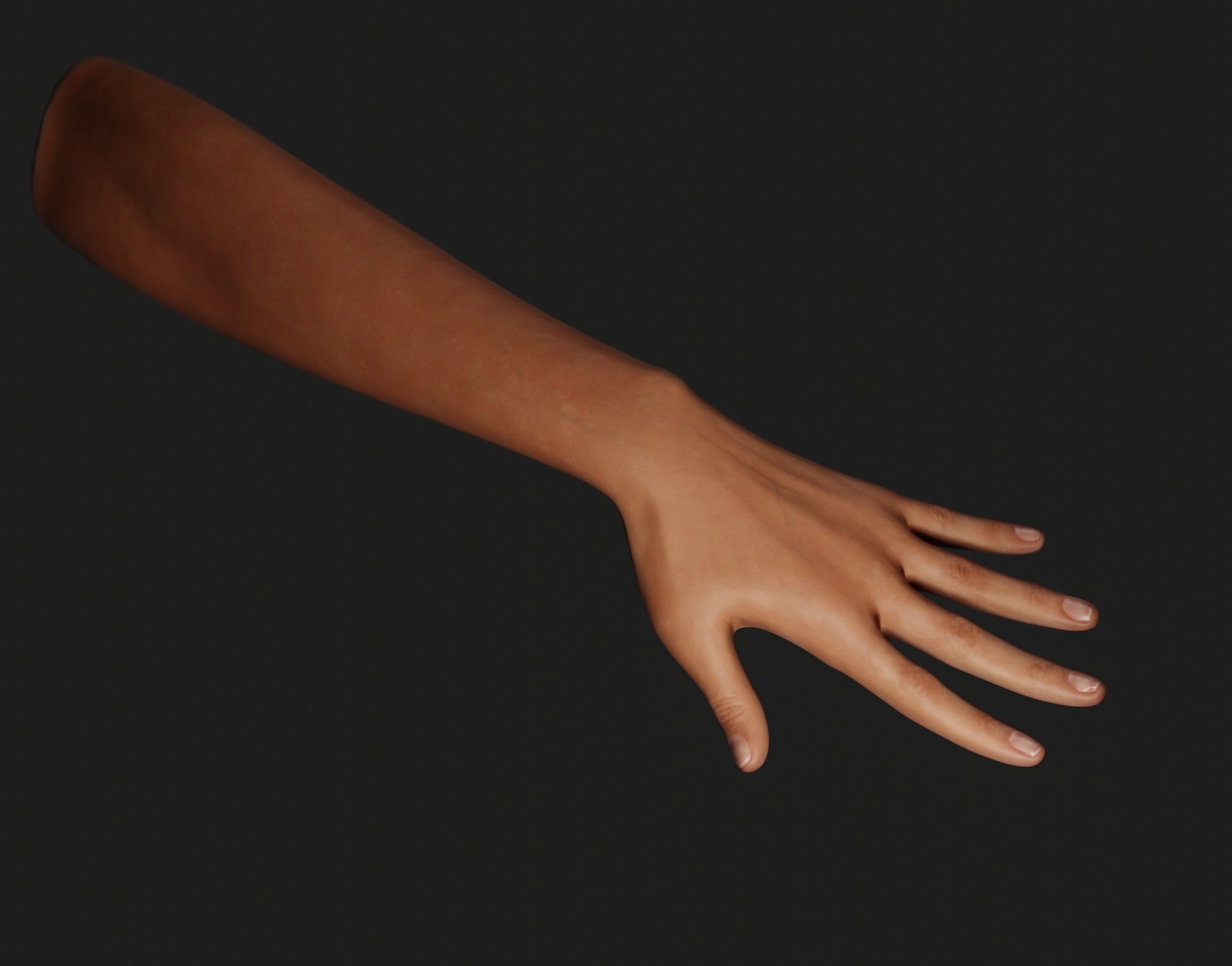 Female Left Hand Rigged Low-poly 3D model_12