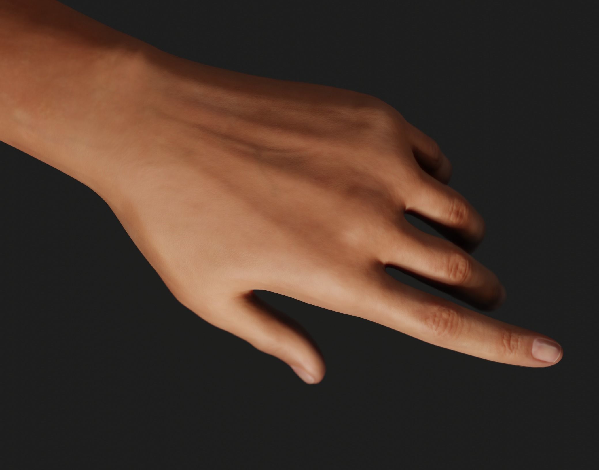 Female Left Hand Rigged Low-poly 3D model_4