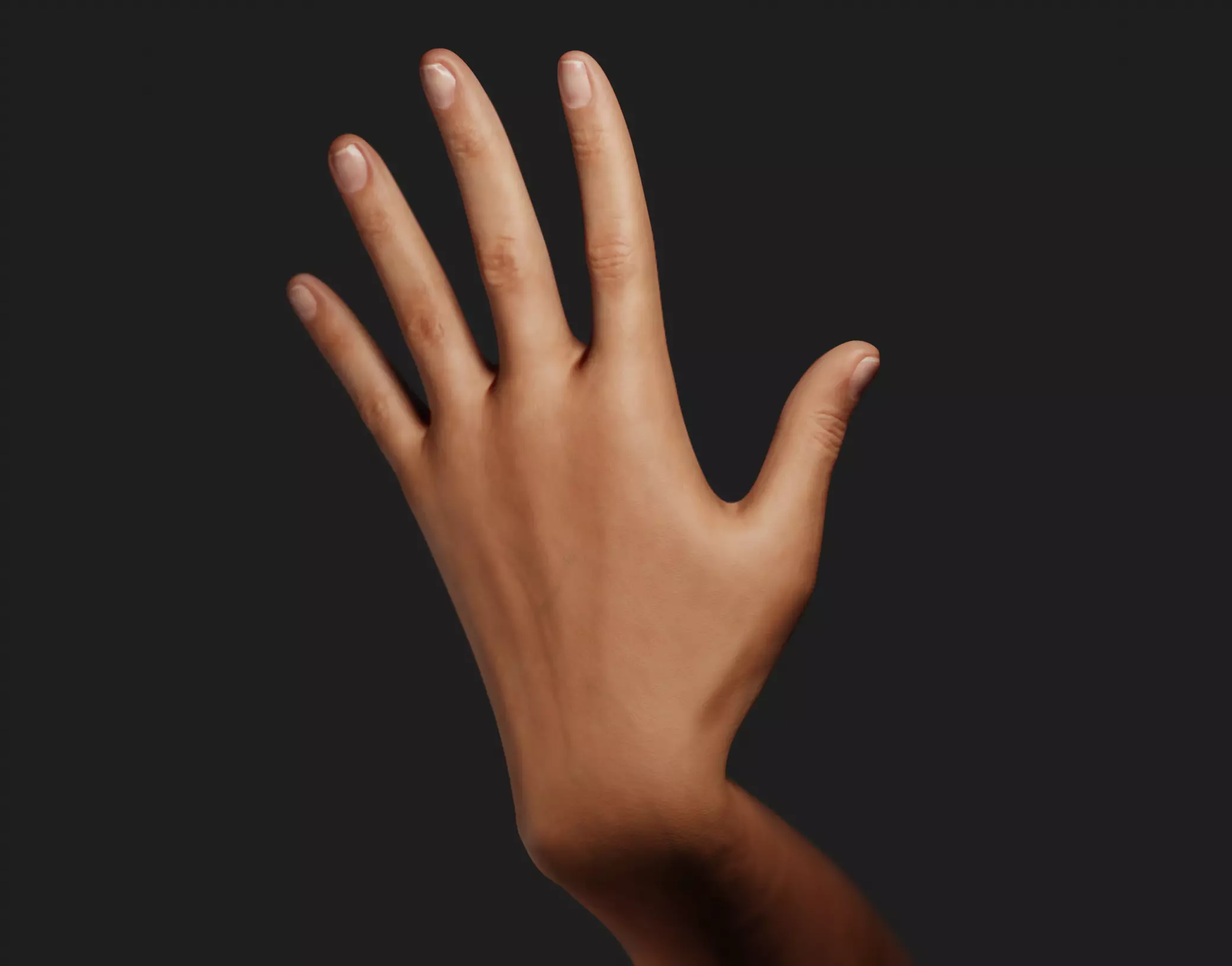 Female Left Hand Rigged Low-poly 3D model_0