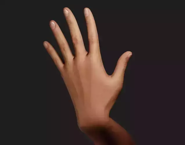 Female Left Hand Rigged 3D model