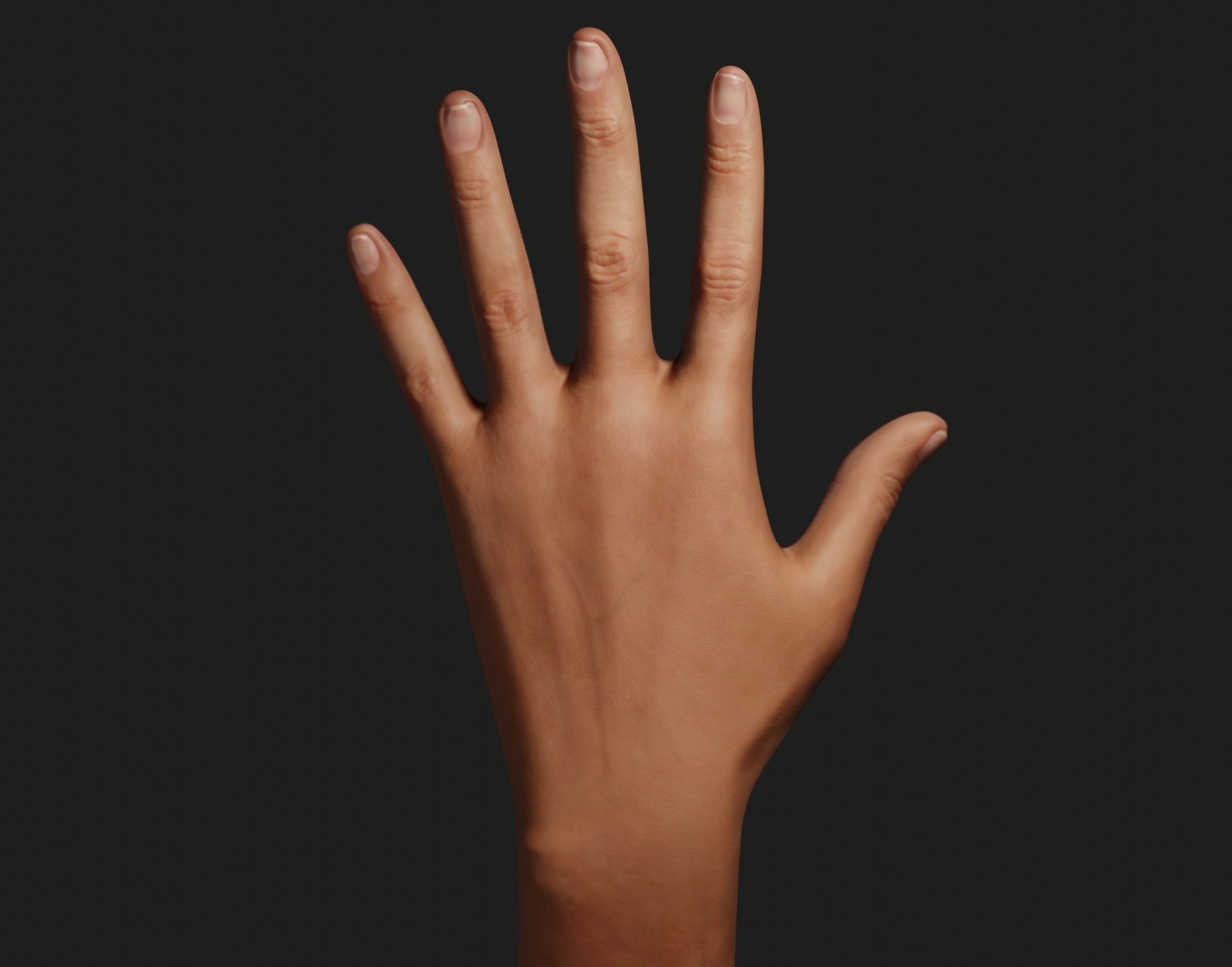 Female Left Hand Rigged Low-poly 3D model_5