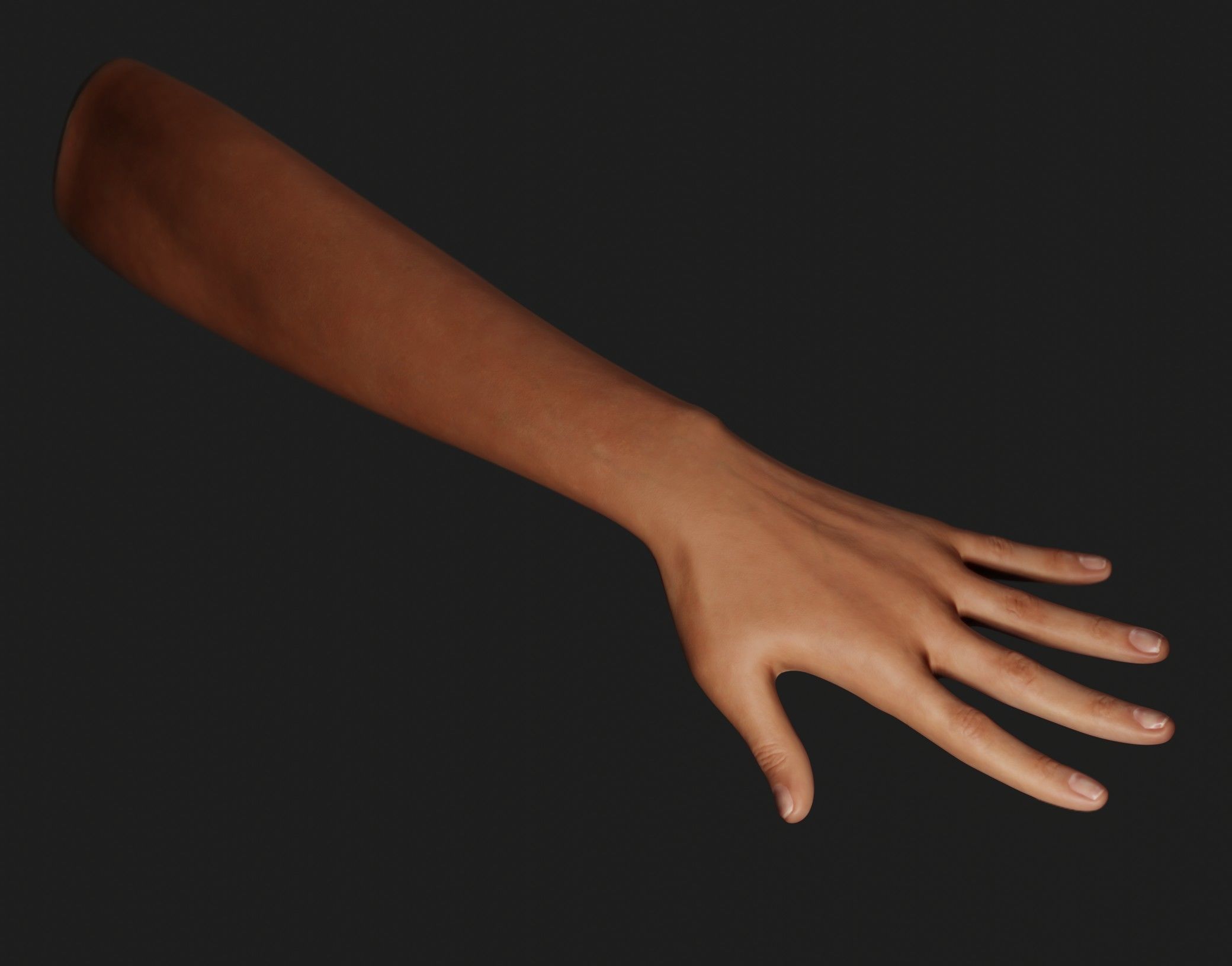 Female Left Hand Rigged Low-poly 3D model_14