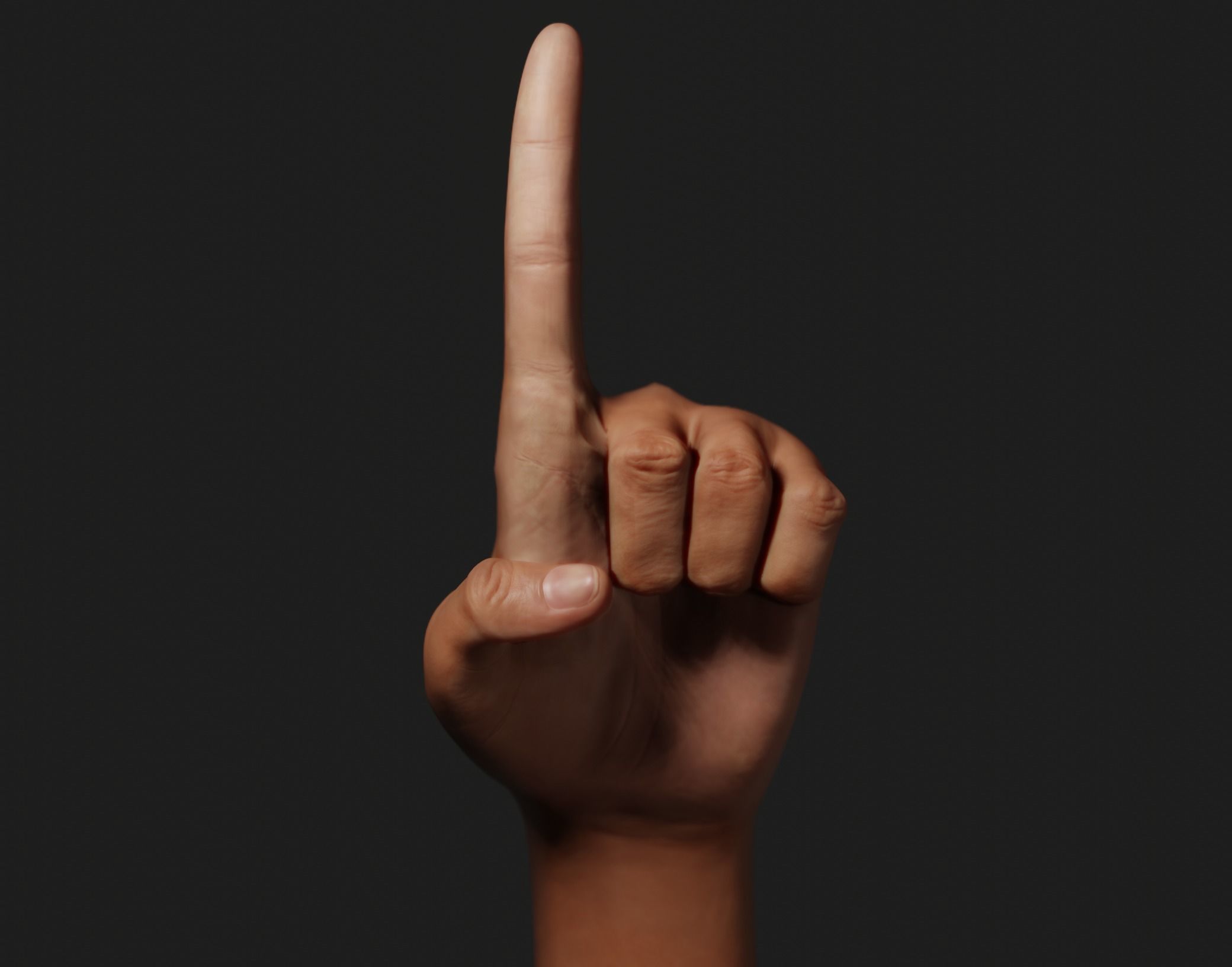 Female Left Hand Rigged Low-poly 3D model_7