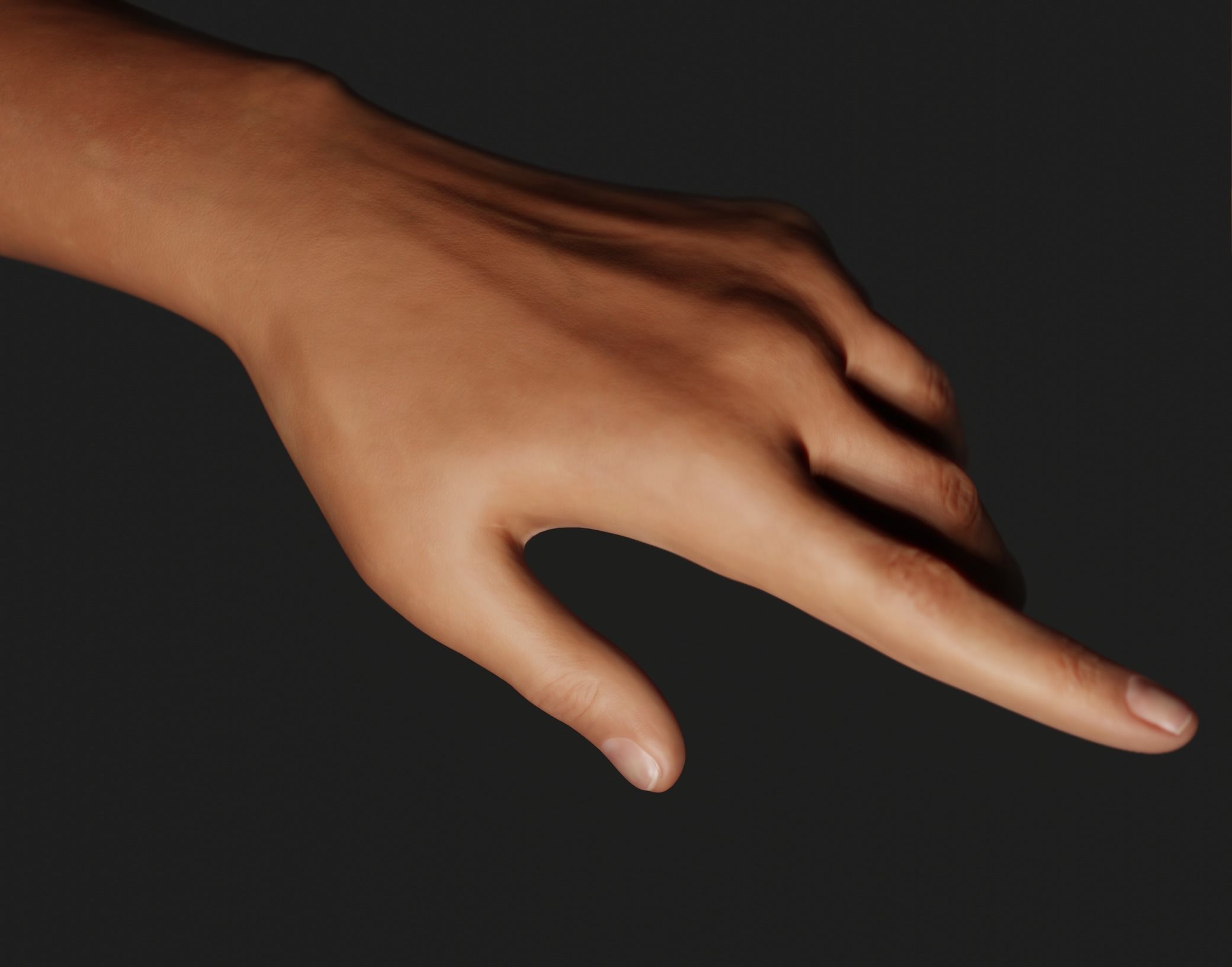 Female Left Hand Rigged Low-poly 3D model_3