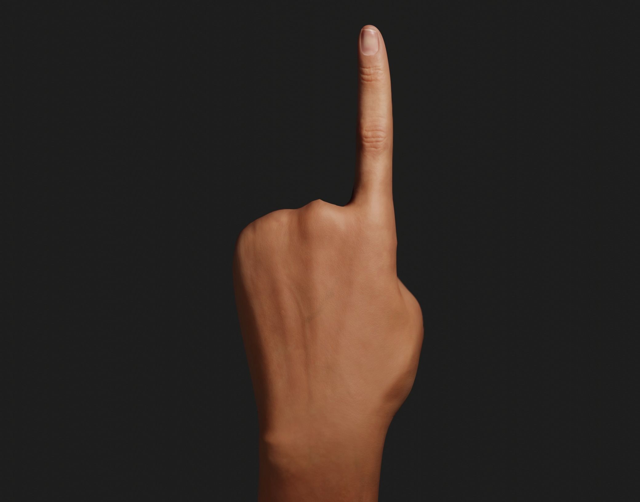 Female Left Hand Rigged Low-poly 3D model_6