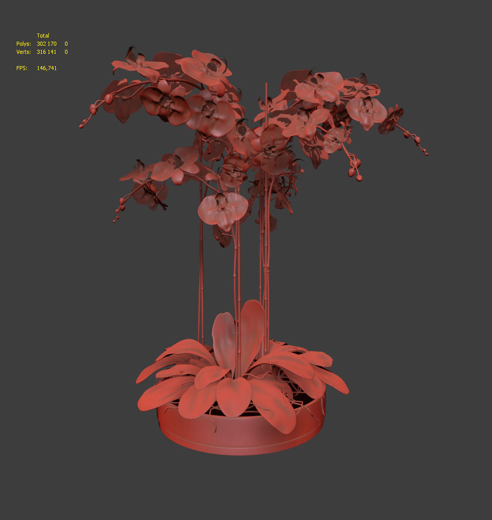 Orchid Arrangement 4 3D model_2