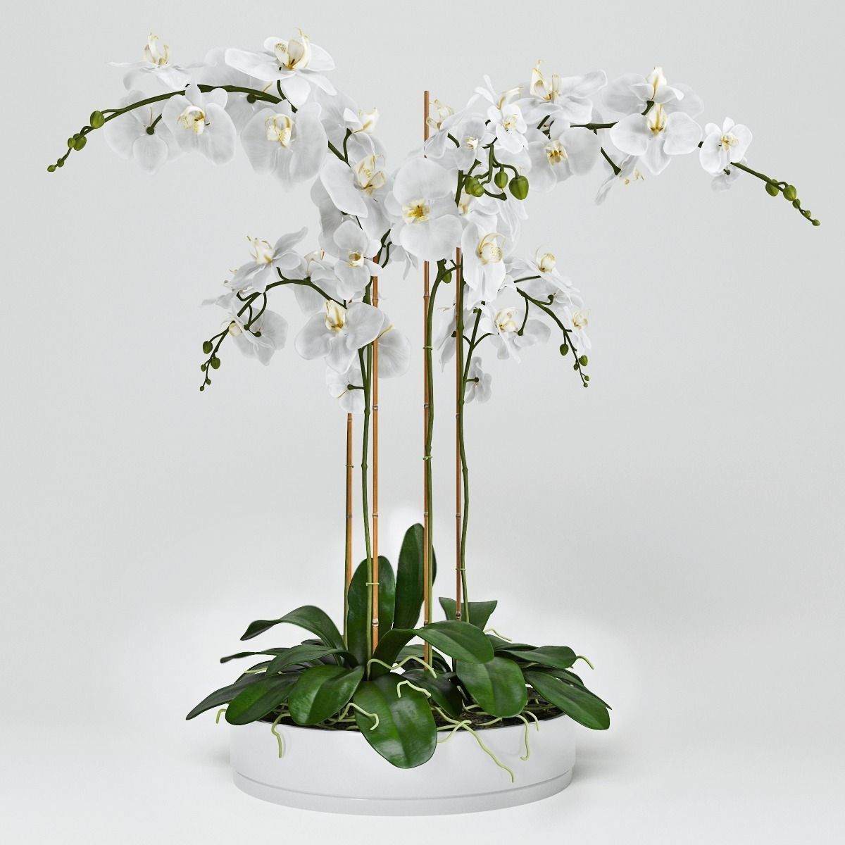 Orchid Arrangement 4 3D model_1