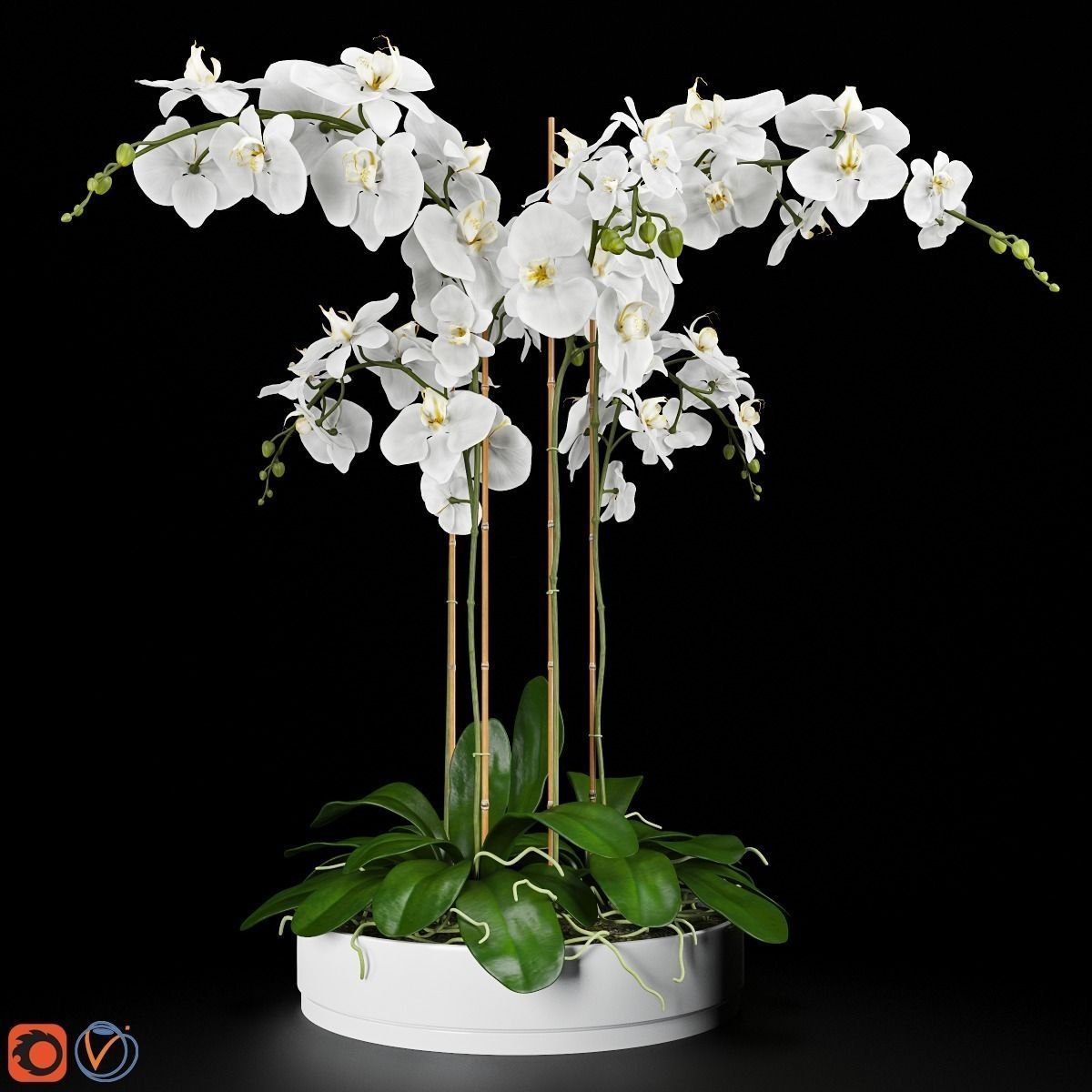 Orchid Arrangement 4 3D model_0
