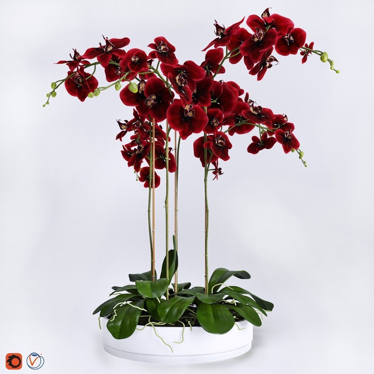 Orchid Arrangement 5 3D model