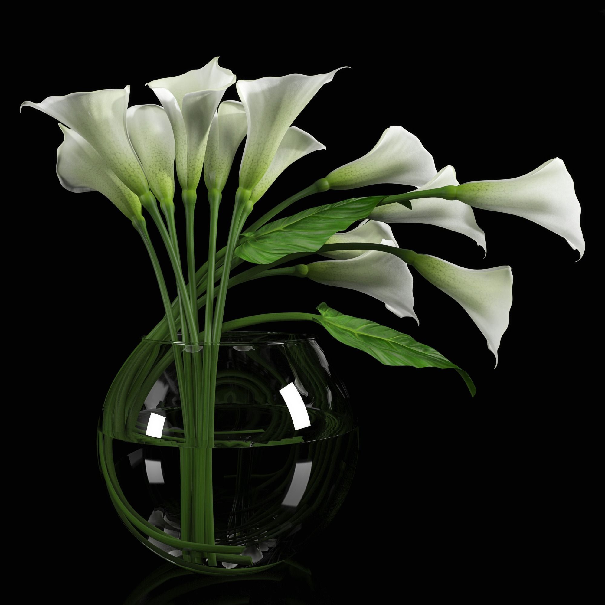 Calla Lily 1 3D model