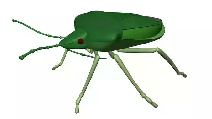 Stinkbug bug 3D model