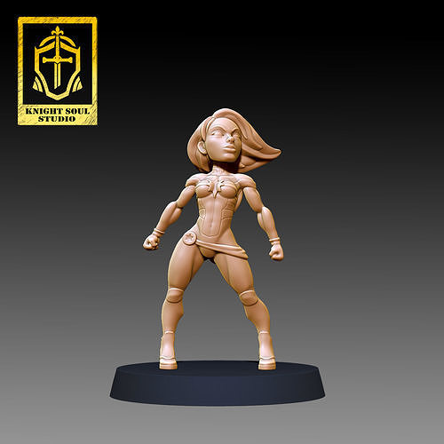 CAPTAIN MARVEL BH FIG Free 3D print model