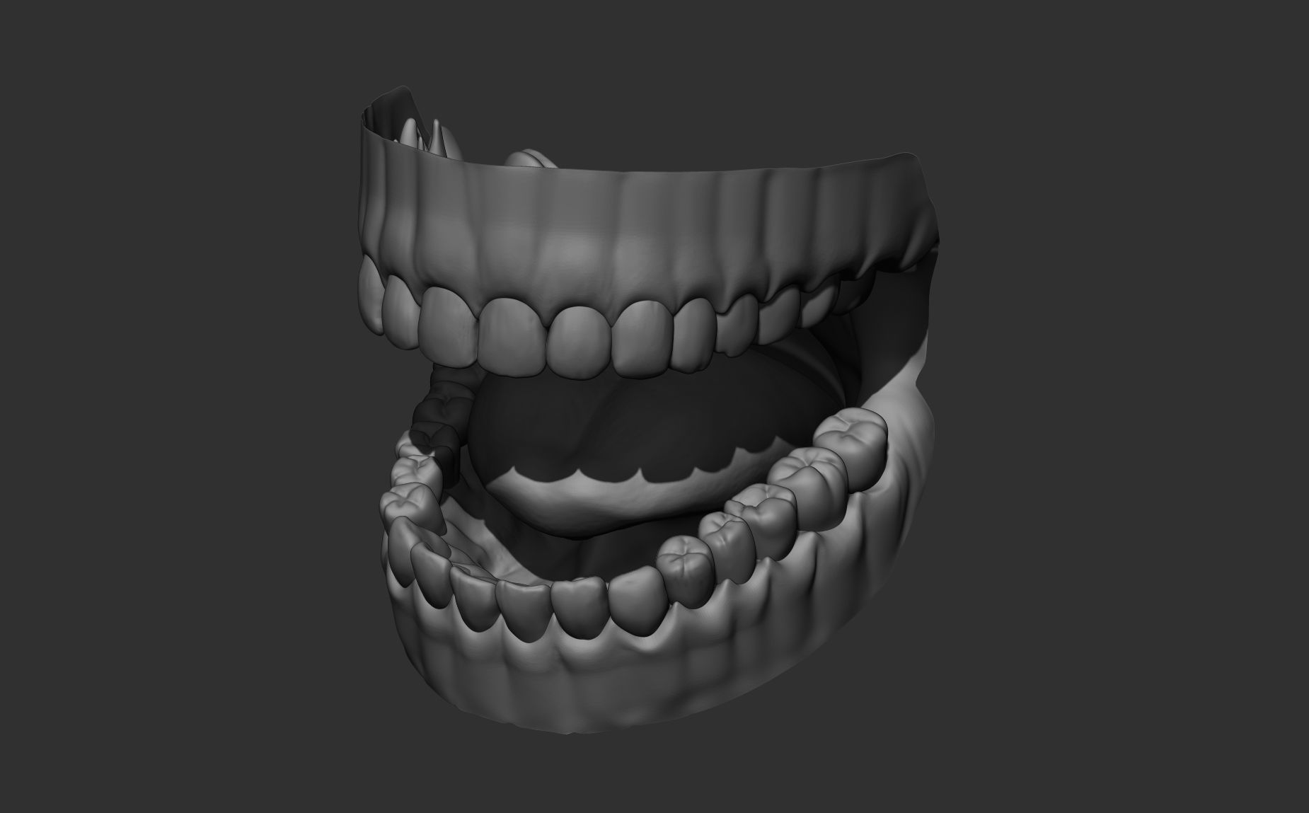 Teeth Sculpt  Free 3D model_4