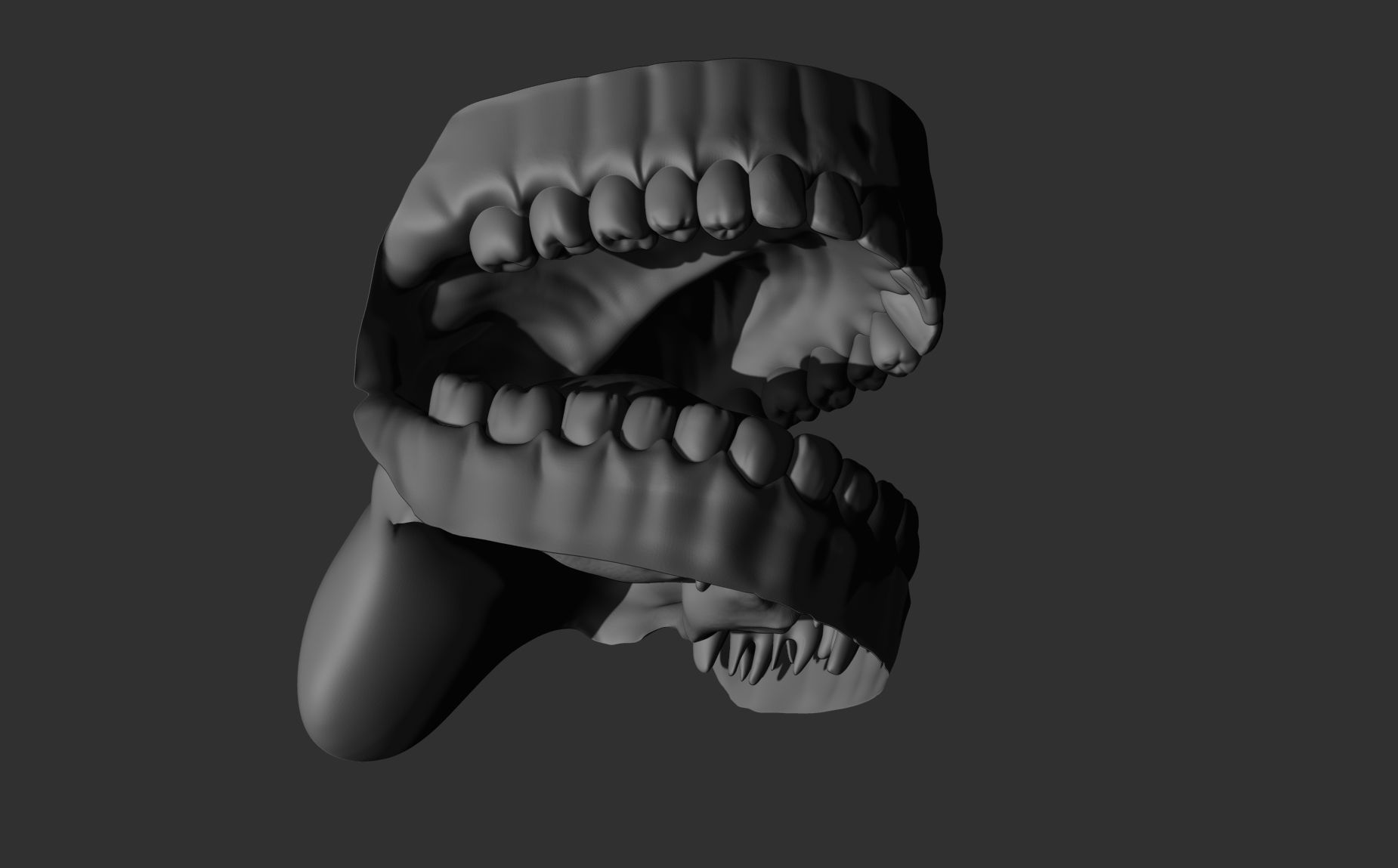 Teeth Sculpt  Free 3D model_9