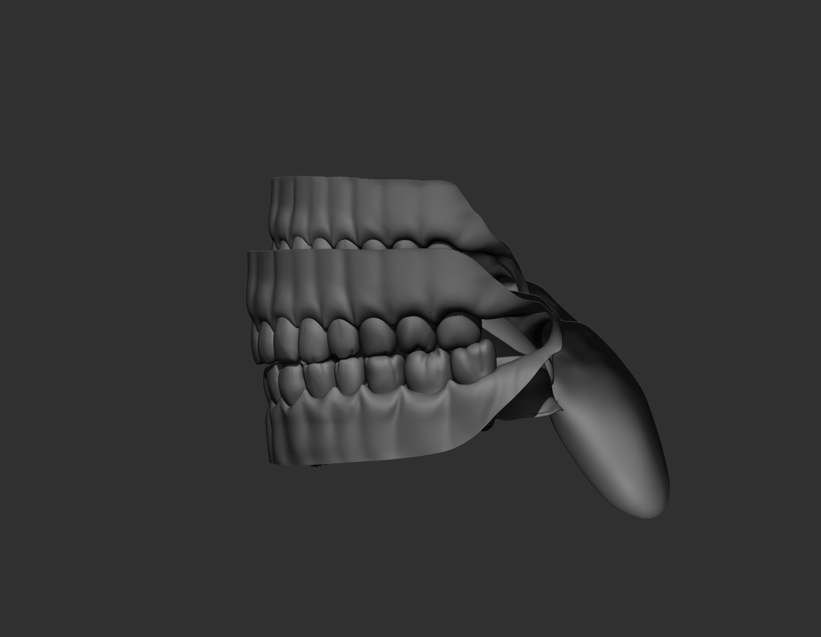 Teeth Sculpt  Free 3D model_5