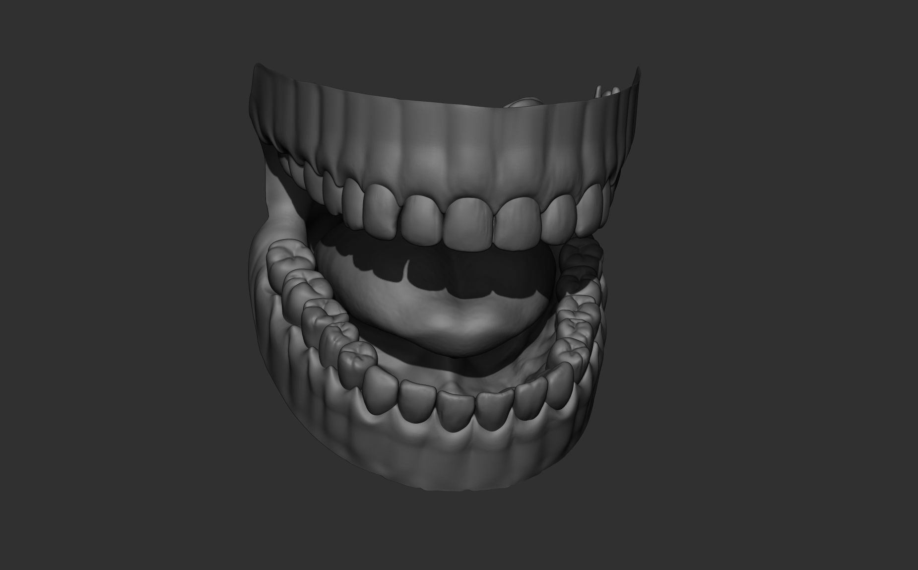 Teeth Sculpt  Free 3D model_13
