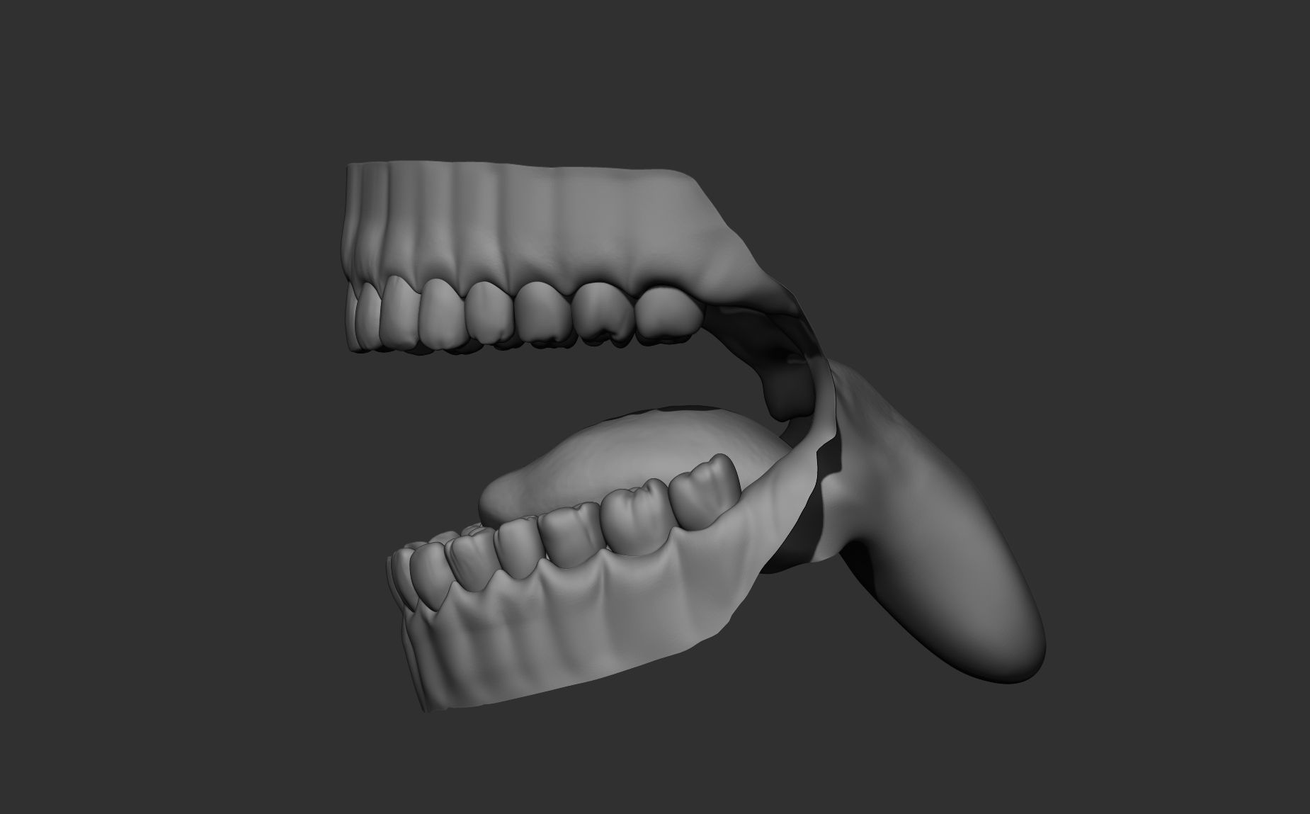 Teeth Sculpt  Free 3D model_20