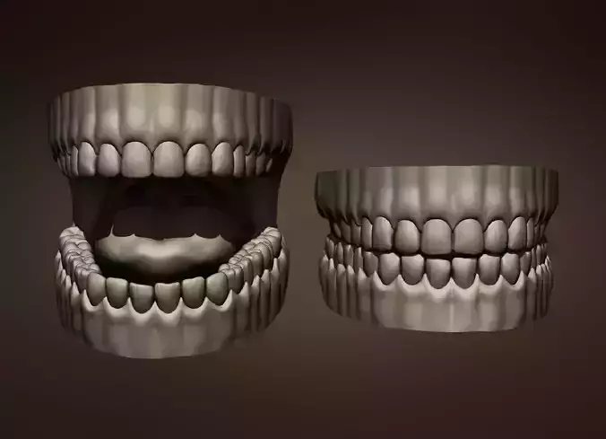 Teeth Sculpt  Free 3D model