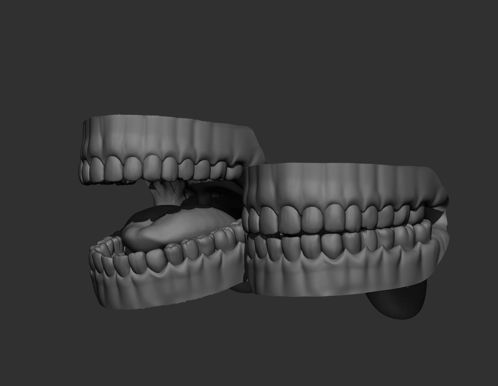 Teeth Sculpt  Free 3D model_19