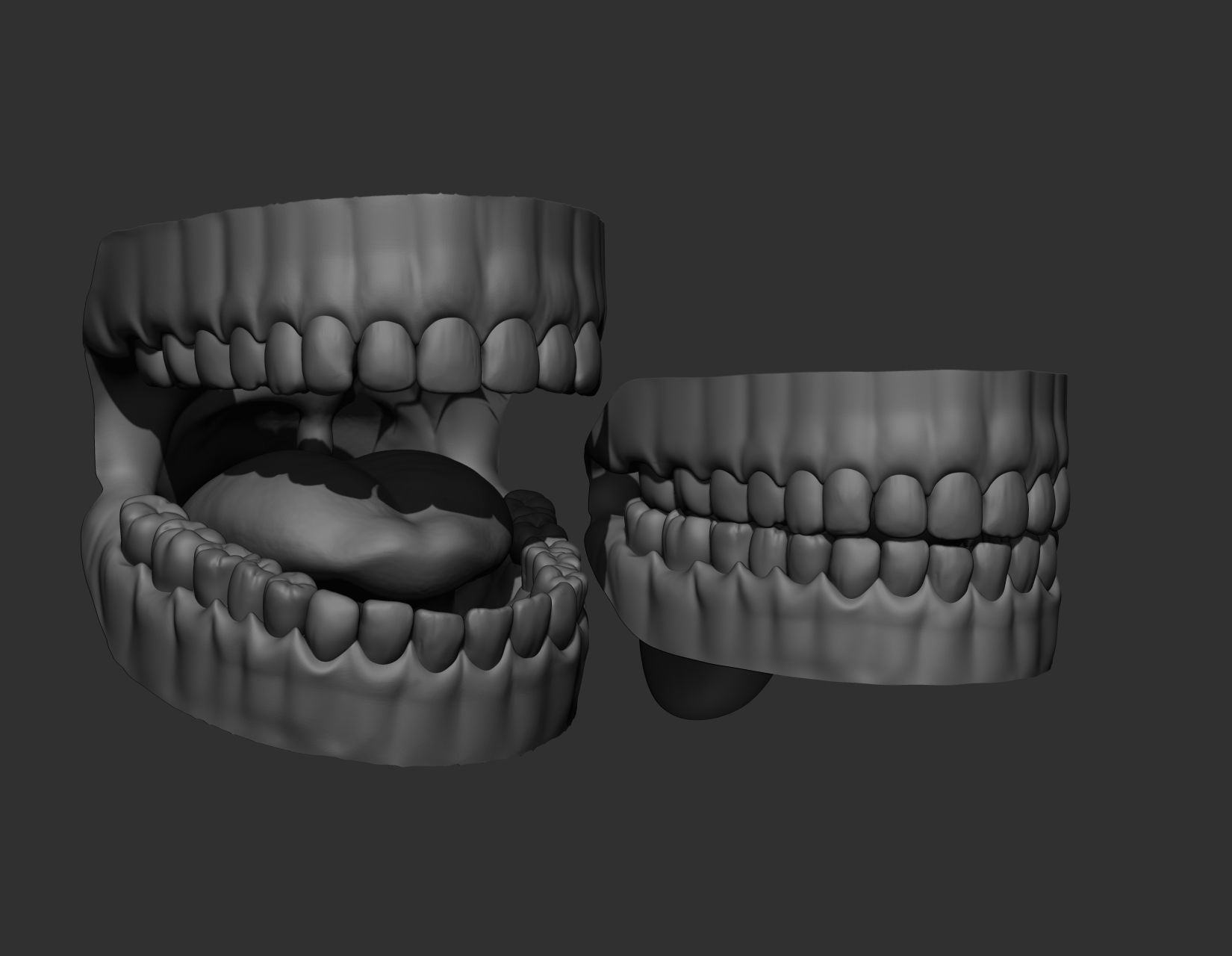 Teeth Sculpt  Free 3D model_21