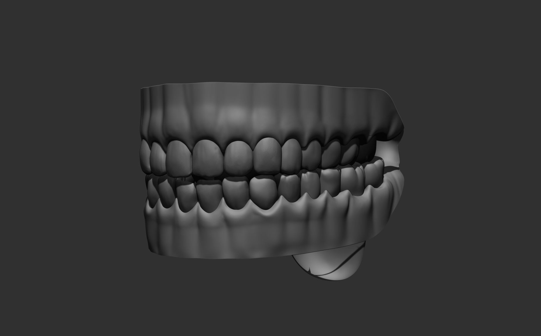 Teeth Sculpt  Free 3D model_15
