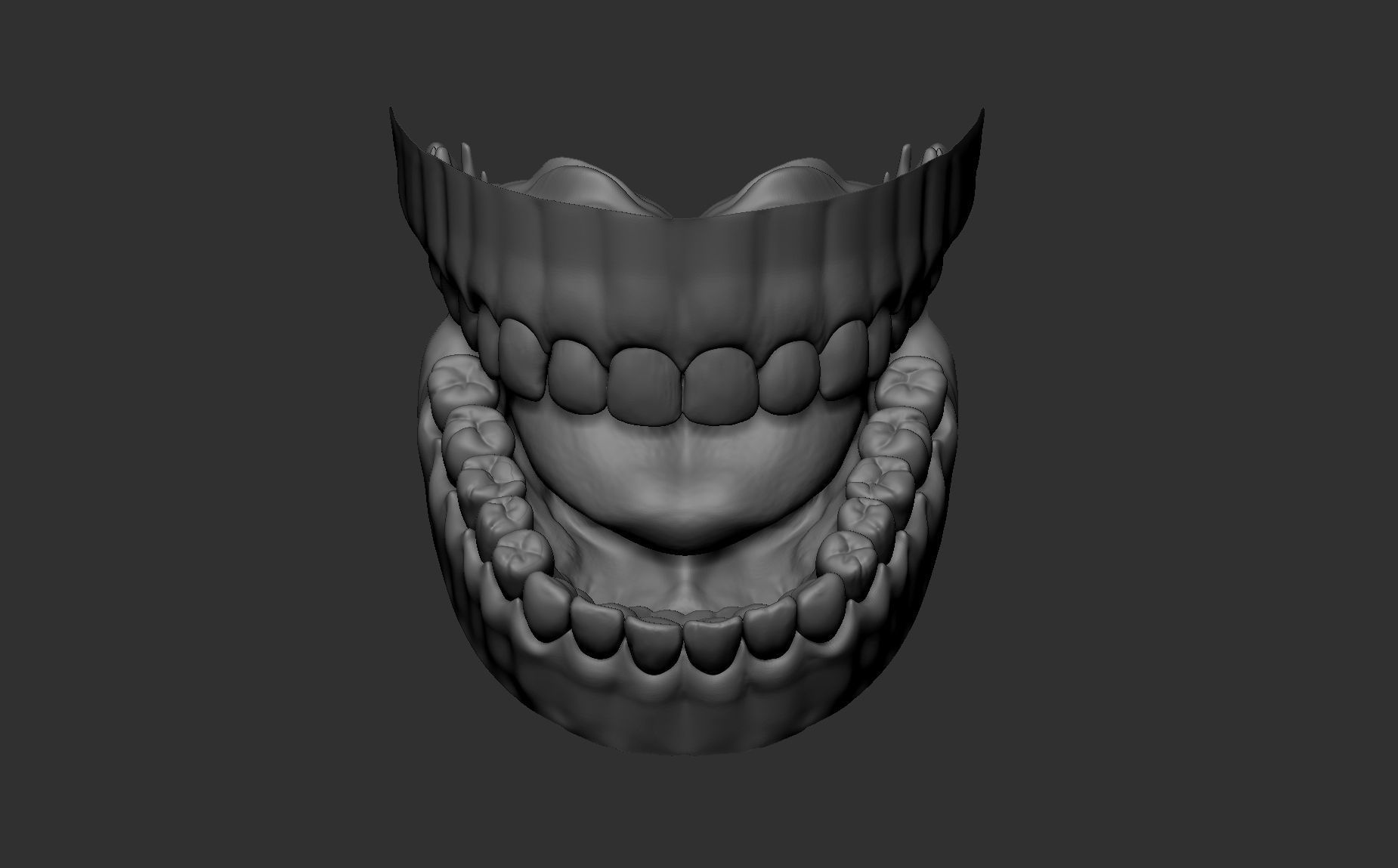 Teeth Sculpt  Free 3D model_12